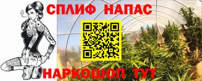 ECSTASY Волгодонск