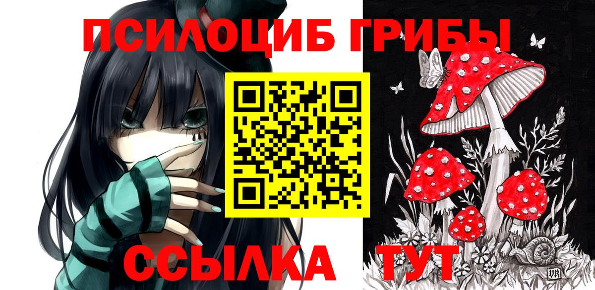 Псилоцибиновые грибы MAGIC MUSHROOMS  Вход с VPN  Псилоцибиновые грибы мухоморы  Киселёвск 