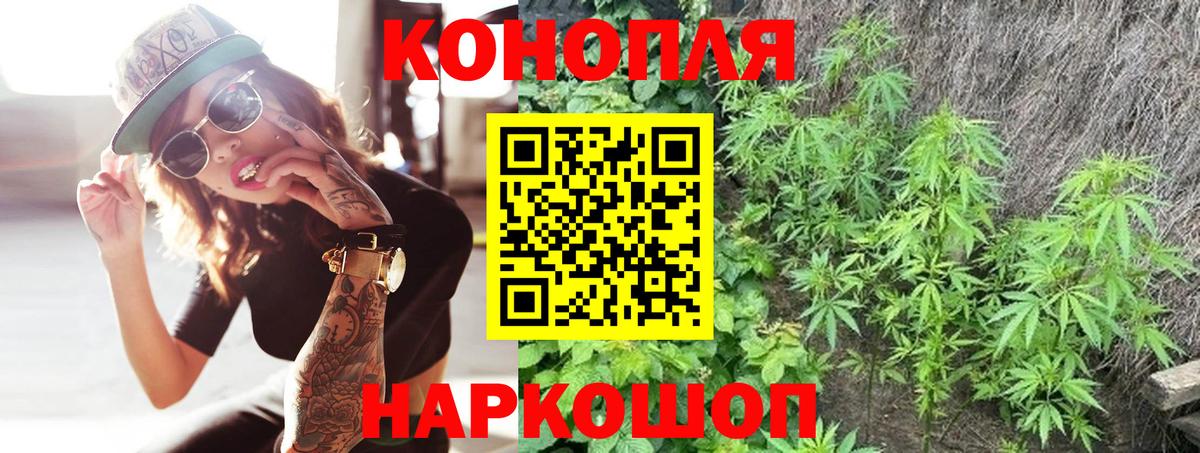 Каннабис OG Kush Киселёвск